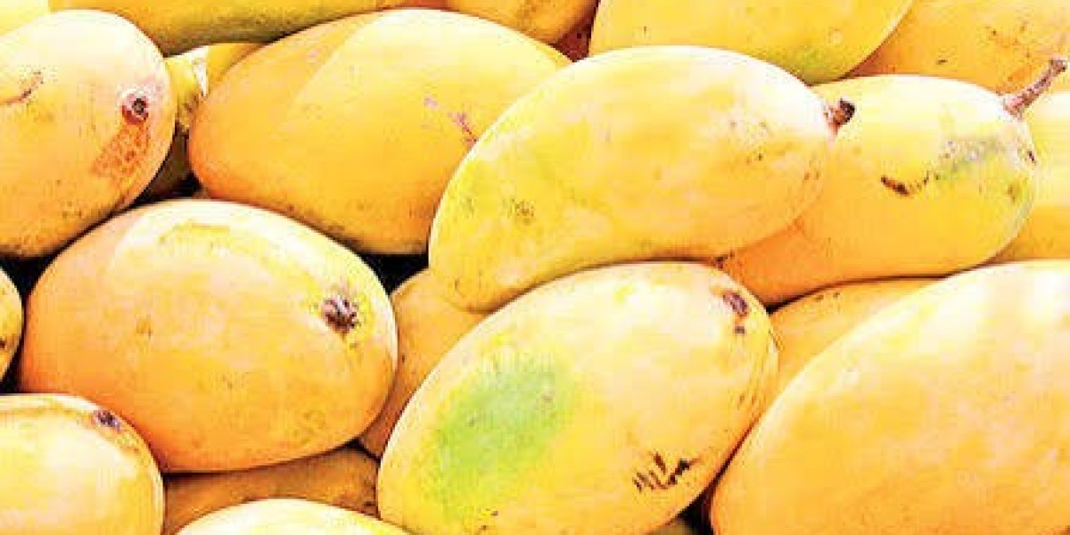 Mango Companies in Pakistan: Delivering Premium Quality Mangoes to Local and Global Markets